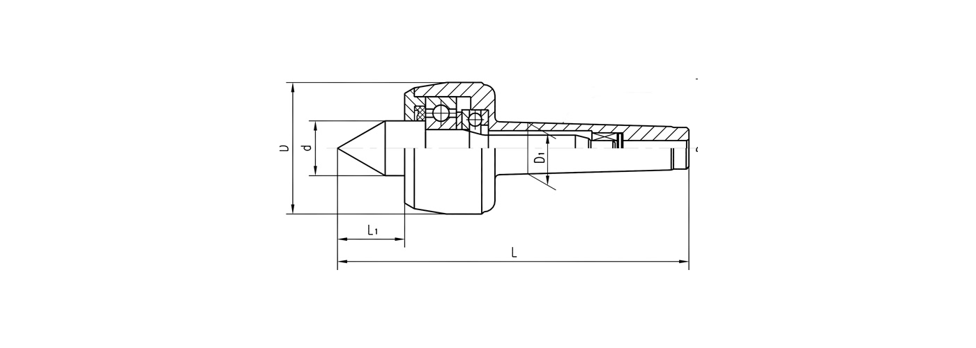 mitlaufende Drehbankspitze Basic Zeichnung